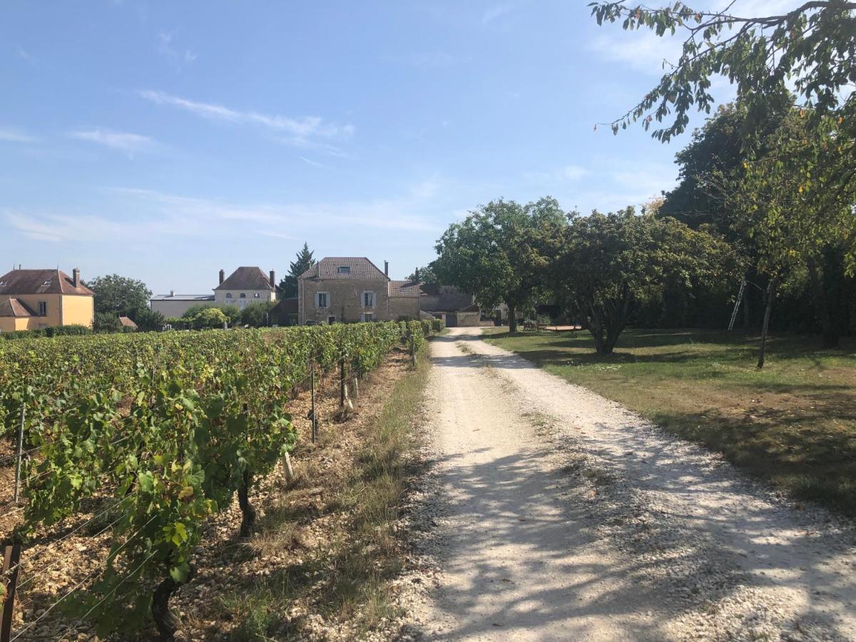 Maison De Pauline, Chablis Vineyard Prehy Bagian luar foto