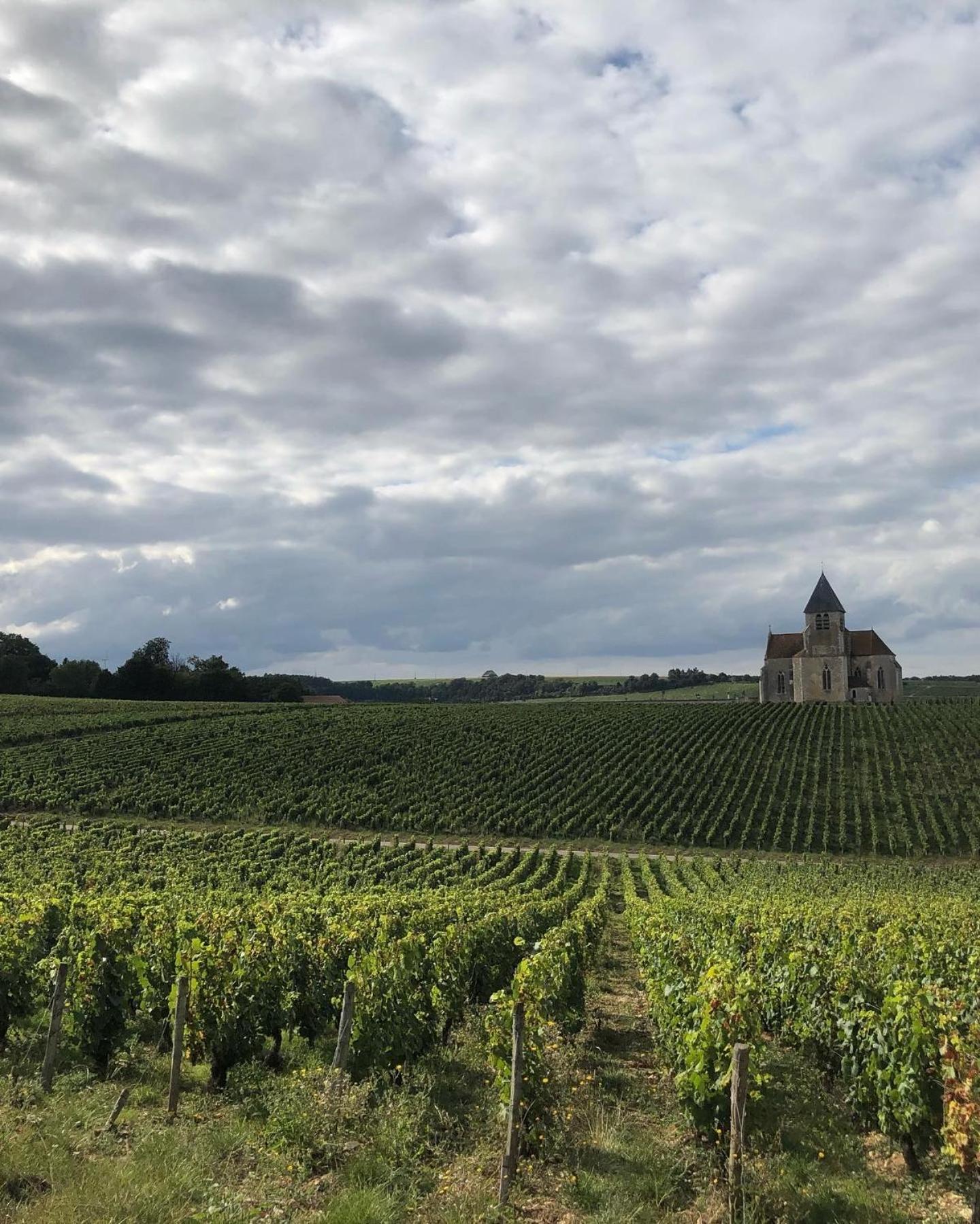 Maison De Pauline, Chablis Vineyard Prehy Ruang foto